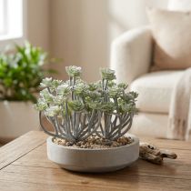 Artikel Stonecrop Kunstige Sukkulenter Kunstige Planter 16cm 4 stk