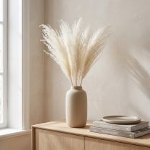 Artikel Tørrede blomster, sølvgræs. Elegant naturlig dekoration til hjem og kontor. 70 cm, 10 stk.