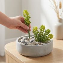 Artikel Kunstig sukkulentblomst til vedligeholdelsesfri indretning af opholdsstuer og kontorer, 15 cm, 6 stk.