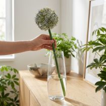 Artikel Kunstig Allium-blomstrende gren, naturtro udseende, 90 cm