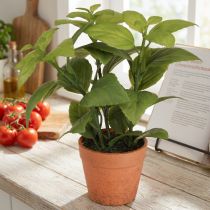 Artikel Kunstig Basilikum i Potte Urtepotte Kunstig Plante 22cm 2stk