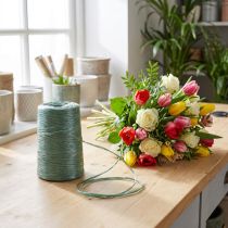 Artikel Gartner raffia grøn raffia blomsterhandler 3500m 5 stk
