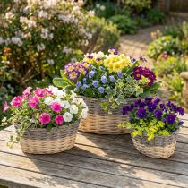 Artikel Flettet kurv til plantning Planteskål L29/33/38cm sæt med 3 stk
