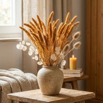 Artikel Tørrede blomster Setaria Pumila Orange, børstehår hirse dekorative korn 72cm 200g