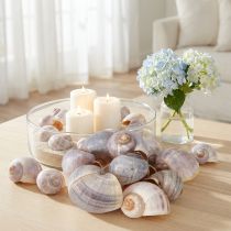 Artikel Naturlige sneglehuse 1 kg