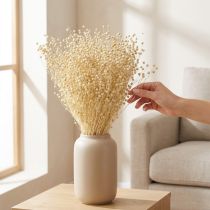 Artikel Tørret græshør tørret naturlig bleget 50-55 cm 180 g