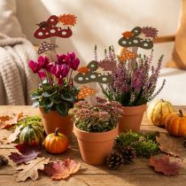Artikel Blomsterpind Fluesvamp Dekoration Pindsvin Efterårsdekoration 8cm 12 Stk