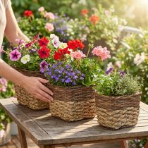 Artikel Plantekurv, naturlig beholder til plantning, firkantet blomsterskål naturlig L29,5/26/23 cm H21/19/16 cm sæt med 3