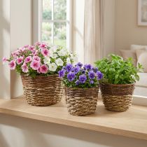 Artikel Naturkurv til plantning, kurvdekoration, planteskåle natur L21/19/16cm H21/19/16cm sæt med 3 stk.