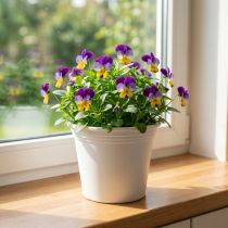 Artikel Plastpotte “Irys” hvid Ø15cm H13cm 1 stk