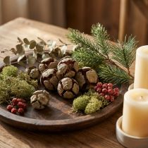 Artikel Cypreskogler, naturlige, 3 cm, 500 g