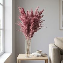 Artikel Tørret rørgræs, tørret dekorativt græs, antik rose, 75 cm, 10 stk.