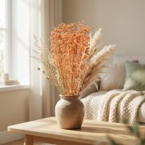 Artikel Dekorative tørrede hørblomster abrikos naturlige 80g boho dekoration