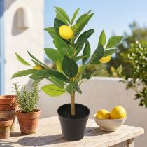 Artikel Kunstigt citrontræ i potte, 40 cm højt, dekorativt blikfang
