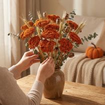 Artikel Tørrede røllikea-appelsinblomster, 45-60 cm, 1 kg