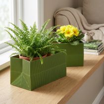 Artikel Blomsterplantekasse Langribbet Grøn Olivengrøn 24x12cm 6 stk