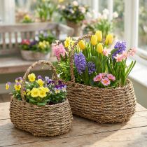 Artikel Plantekurv med håndtag kurv blomsterkurv L23/35cm sæt med 2 stk
