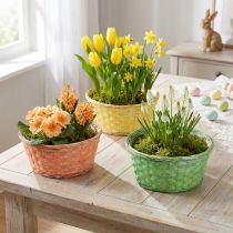 Artikel Plantekurv rund Ø25cm orange, gul, grøn 6 stk