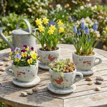 Artikel Plantekrukkepottekop med underkop vintage grå, naturtone Ø8cm H6,5cm 4 stk