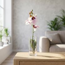 Artikel Kunstig Phalaenopsis Orkidé, Hvid og Lilla, 43 cm