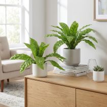 Artikel Redebregne kunstige planter i grøn 5,5×22cm 2stk