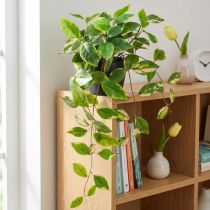 Artikel Philodendron Scindapsus med potte, nem at passe - ideel til kontoret og hjemmet 32 cm