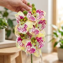 Artikel Kunstig orkidégren Phaelaenopsis Grøn Pink H49cm