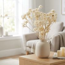Artikel Tørret blomstertidselgren Bleget 80g