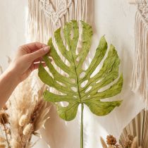 Artikel Dekorative Monstera-blade til boho- og urban jungle-dekoration