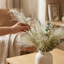 Artikel Tørrede blomster deco fjer græs tørt græs natur 50g