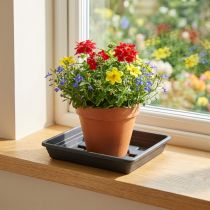 Artikel Coaster Lara firkantet 29cm x 29cm antracit 1 stk