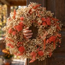 Artikel Dekorativ krans tørrede blomster blomsterkrans appelsincreme Ø25cm