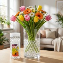 Artikel Aqualinos Aqua Pearls Dekorative vandperler til planter Transparent 15-18mm 500ml