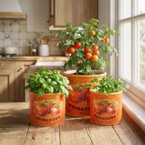 Artikel Tomatplantepottesæt, keramiske dekorative blomsterpotter til køkken og retroindretning, 14 cm, sæt med 3