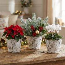 Artikel Potte med hvide birkebark plantepotte Ø15cm H12,5cm 3 stk