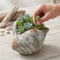 Artikel Urtepotte skalsten antikgrå maritim 22×18×13cm