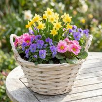 Artikel Kurv med hanke Chipkurv plantekurv hvide Ø18cm H12cm