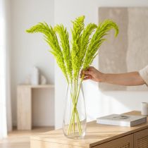 Artikel Tørrede rævehaleblomster, farvede, til speciel boligindretning og unikke detaljer, 100 cm, 5 stk.