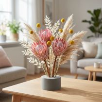 Artikel Blomsterskum cylinder tør plug-in compound grå H5cm Ø8cm 20 stk