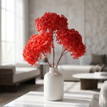 Artikel Dekorativ hortensia: konserverede tørrede blomster til elegant indretning