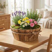 Artikel Træ deco skål naturtræ Rustik dekoration Ø28cm H10cm