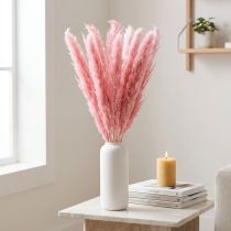 Artikel Tørt Græs Pink Dekorativt Rørgræs Pampas 70cm 10 stk