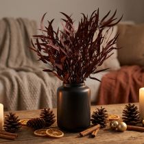 Artikel Eucalyptus Konserverede Eucalyptus Grene Rød, Brun 56cm 135g