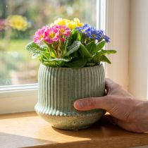 Artikel Urtepotte keramisk plantekasse med riller lysegrøn Ø14,5cm H12,5cm