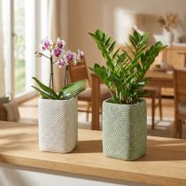 Artikel Plantekasse keramik hvidgrøn reliefnet 14x14cm H21,5cm 2stk.