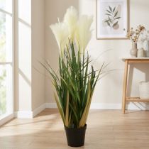 Artikel Rørgræs i potte Kunstig potteplante Creme, Grøn 79cm