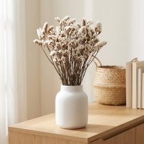 Artikel Tørrede blomster af hvid havlavendel (Limonium), 60 cm, 35 g