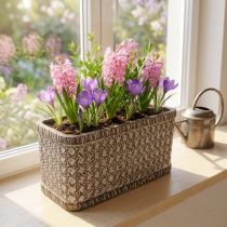Artikel Plantekasse Plantekasse Keramikskål Brun, Hvid 23×11×11cm