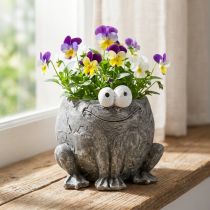 Artikel Grydeskjuler frø med smilegrå 11x12cm