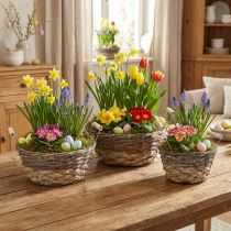 Artikel Shabby Chic Hvid Plantekurvesæt, Påskedekoration Naturkurv med Hanke Ø28/24/19cm, Dekorative Kurve Vasket